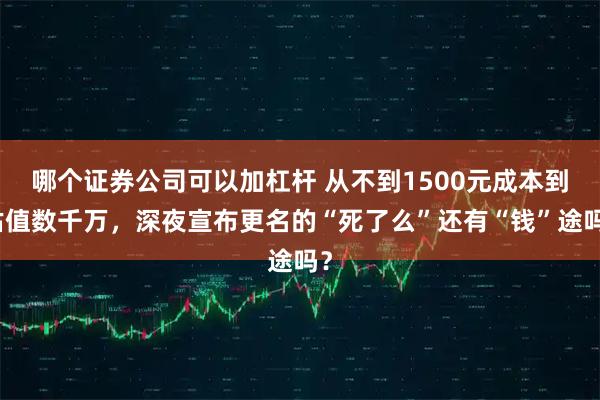哪个证券公司可以加杠杆 从不到1500元成本到估值数千万，深夜宣布更名的“死了么”还有“钱”途吗？