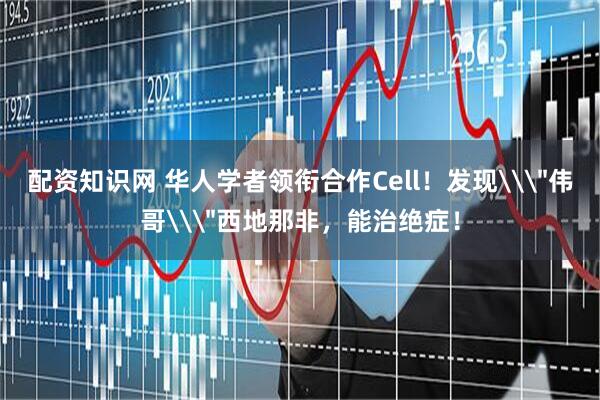 配资知识网 华人学者领衔合作Cell！发现\＂伟哥\＂西地那非，能治绝症！